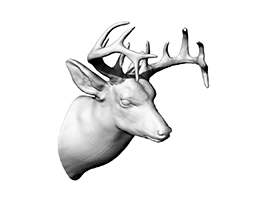 ¹ͷDeer Head detailed0